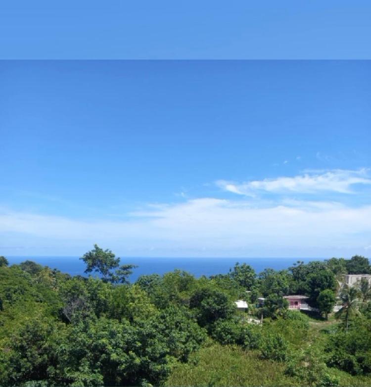 Misbhaven Resort And Spa Port Antonio Exterior photo