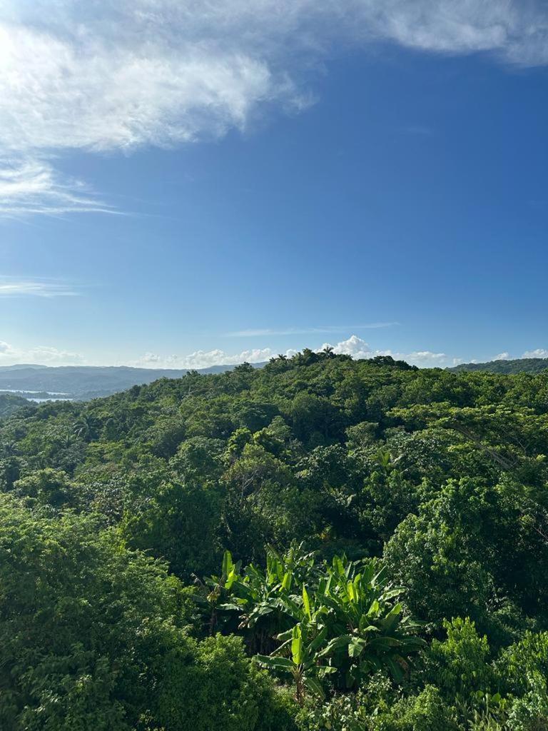 Misbhaven Resort And Spa Port Antonio Exterior photo